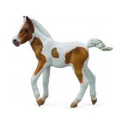 Collecta 88735 - Dartmoor Fohlen (Palomino Pinto)