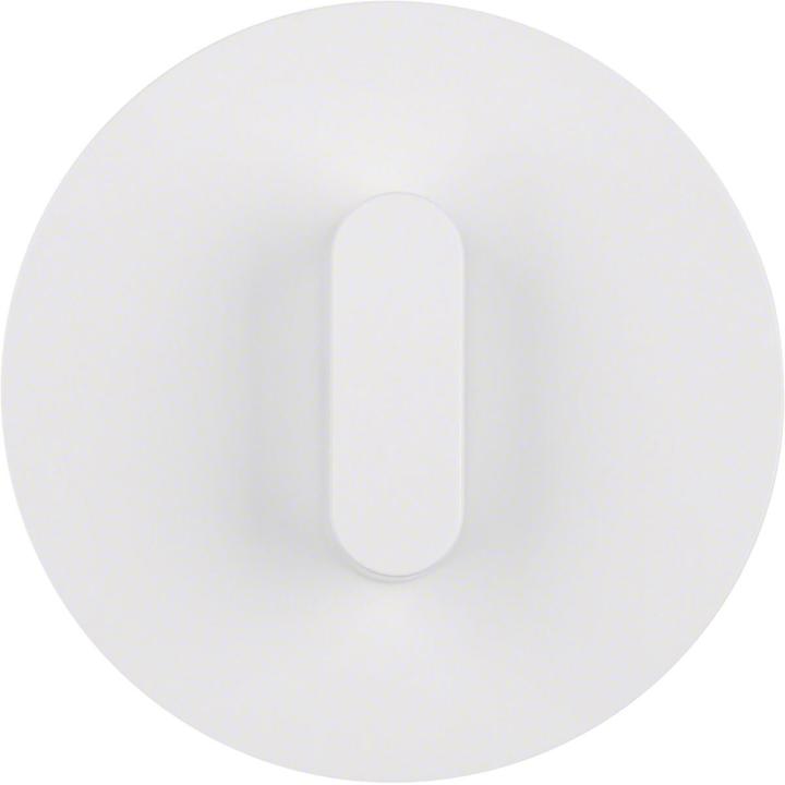 Actual product image Berker Cover plate w toggle 1001208900
