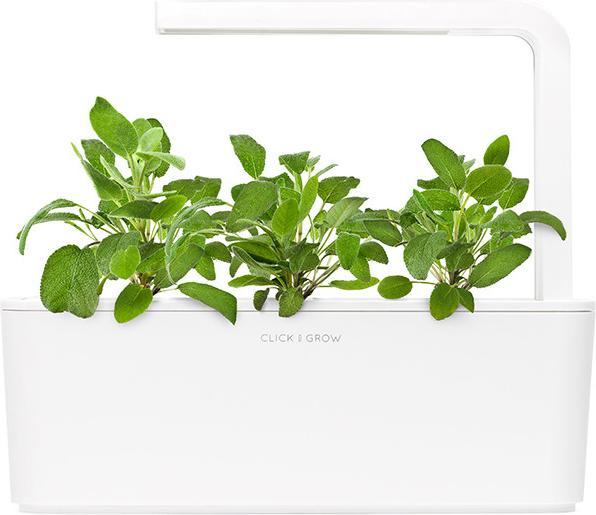 Actual product image Click and Grow Legend (Herb seeds)