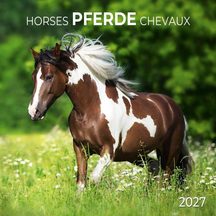 Produktbild Pferde/Horses2027