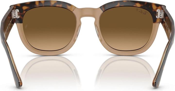 Braun, Havana auf Braun transparent