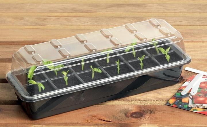 Actual product image Garland Saatgut Startert-Set