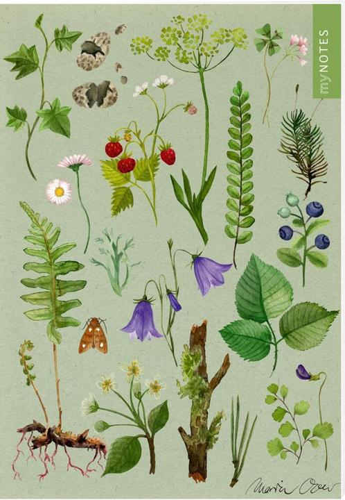 Notebook Nature Treasures Meadow Flowers (A5, Lined, Hardcover)