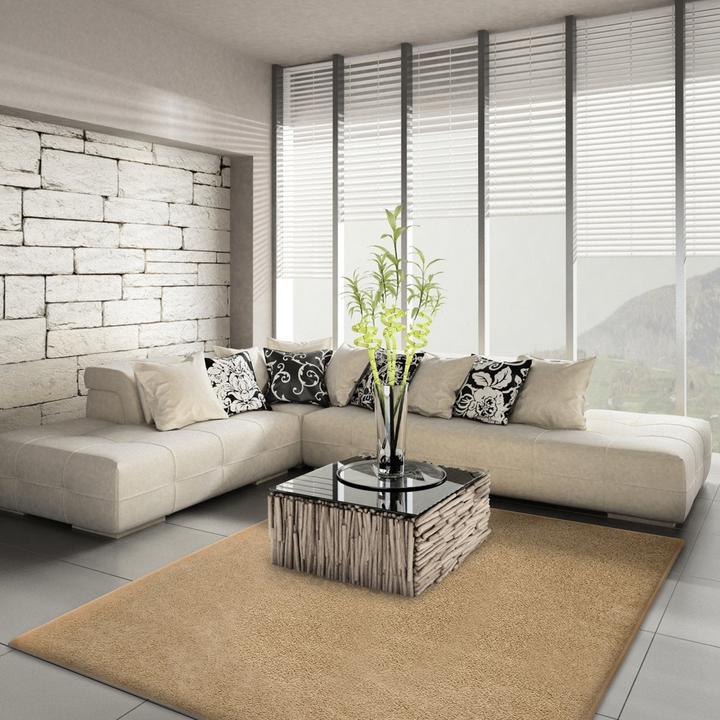 Actual product image Karat Hochflor-Teppich (100 x 150 cm)