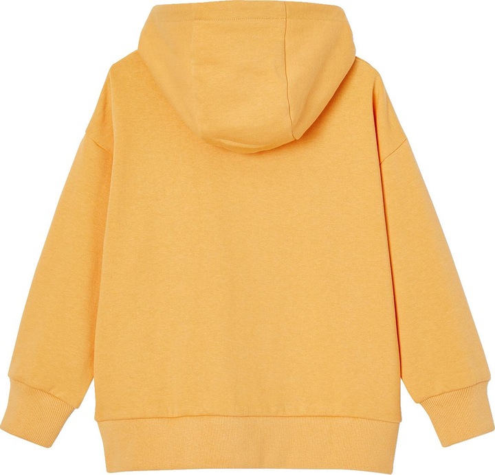 Immagine prodotto Vertbaudet Jungen Kapuzensweatshirt mit Print und Recycling-Polyester (86)