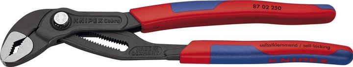 Image du produit Knipex Cobra (250 mm)