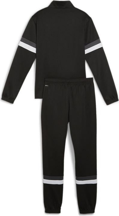 Actual product image Puma teamRISE Tracksuit Jr (164)