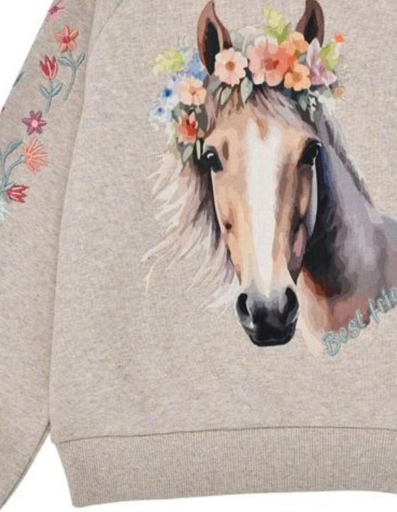 Immagine prodotto Bondi Pullover Best Friend (122)