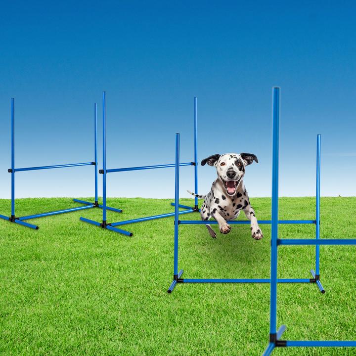 Produktbild Rewe Hunde-Agility-Set, 4-teilig (Agility)