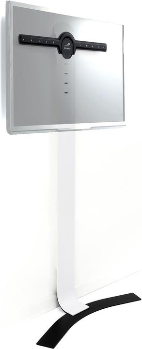 Immagine prodotto Erard Standit 600 (Pavimento, 75", 45 kg)