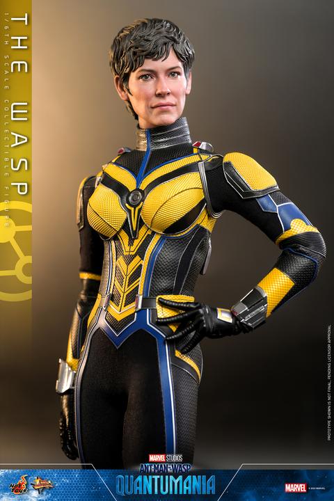 Actual product image Hot Toys Ant-Man & The Wasp: Quantumania figurine Movie Masterpiece 1/6 The Wasp 29 cm