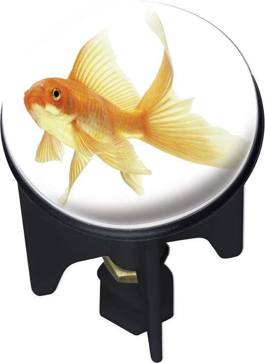Image du produit Wenko Poissons