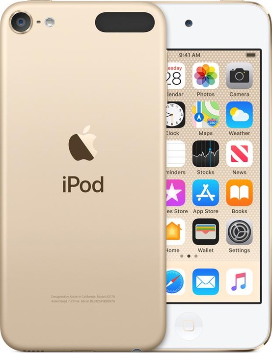 Actual product image Apple iPod touch 7th Gen (128 GB)