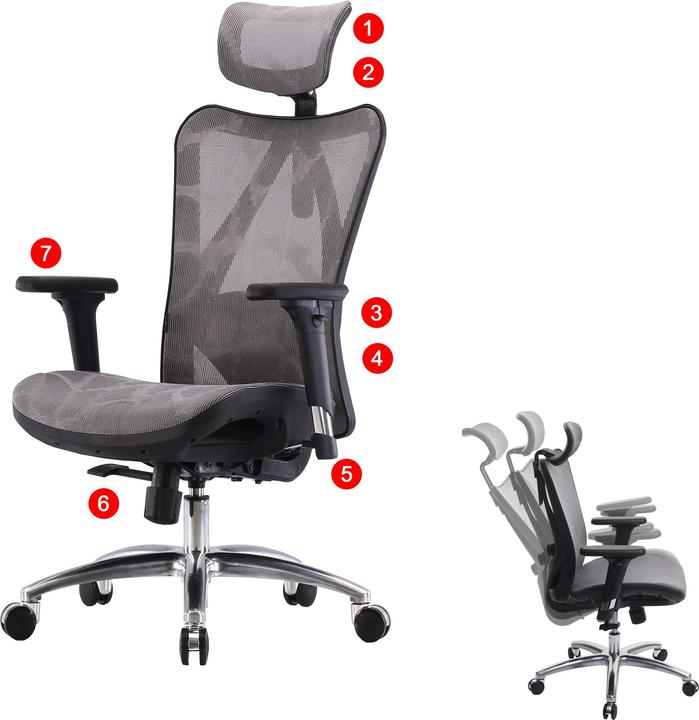 Actual product image Sihoo Office chair with lumbar support