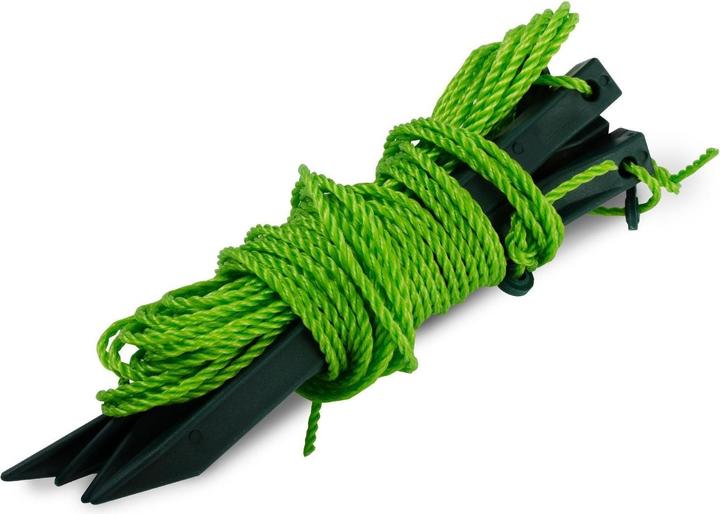 Actual product image Casa Pura Botanica