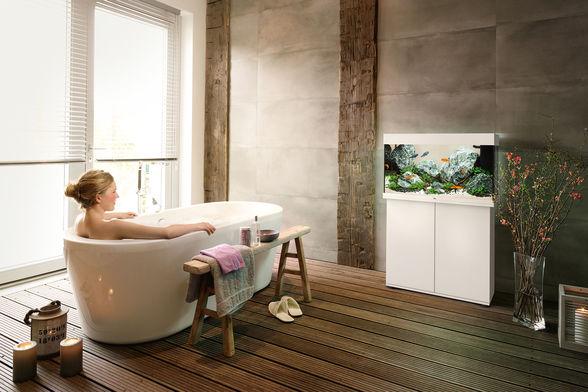 Actual product image Juwel Aquarium Rio 125