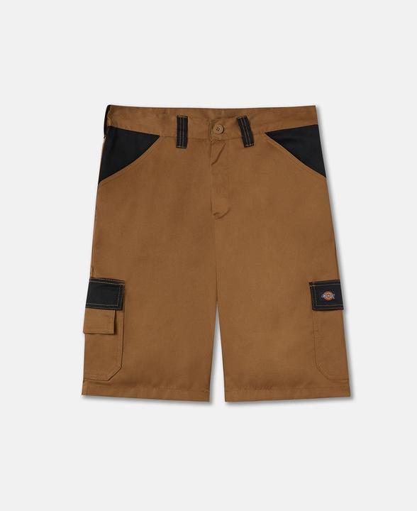 Dickies Everyday Short Ant Penny Blk