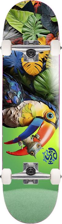 Produktbild Push Complete Toucan