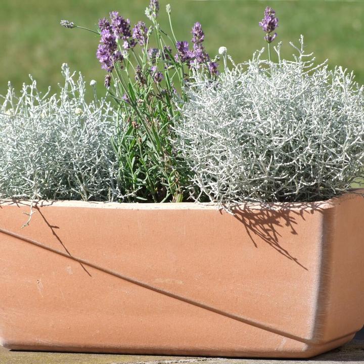 Immagine prodotto Spang Balkonkasten Line antik 40 x 19 x 16 cm mit Loch (40 x 19 x 16 cm)