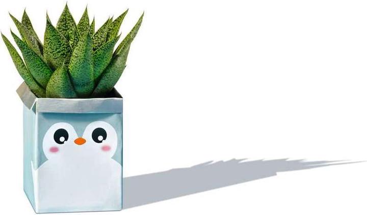 Actual product image Ravensburger EcoCreate- Decorate your Room