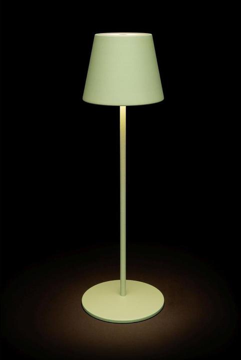 Actual product image STT Motion USB Luna table lamp, Light Mint