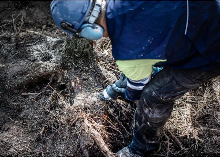 Produktbild Bosch Professional Zubehör EXPERT ‘Tough Wood’ S 1142 KHM Säbelsägeblatt, 1 Stück