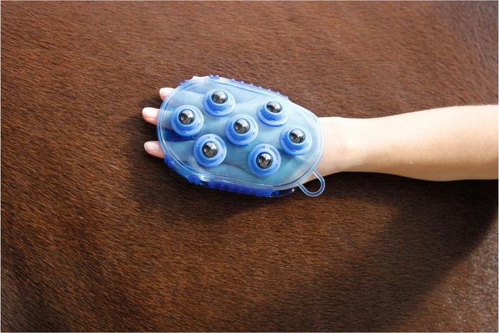 Produktbild Kerbl Magnet-Massage-Striegel königsblau