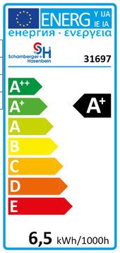 Energie-Label Scharnberger+Hasenbein 31697 LED GlobeFila 95 E27 5 k-spiegel (E27, 6.50 W, 470 lm, 1 x, G)