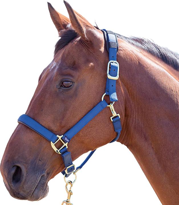 Shires Licol pour chevaux en nylon Topaz