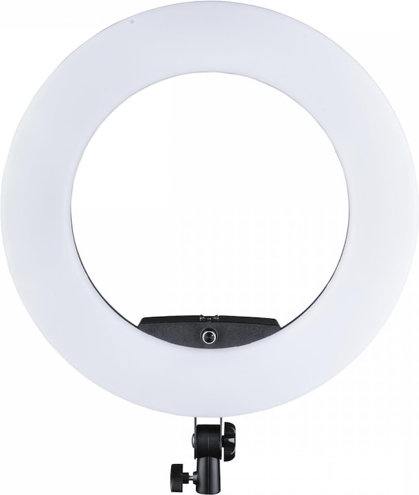 Pro LED Ringleuchte Medow 960 Pro Bi Color (Ringleuchte)