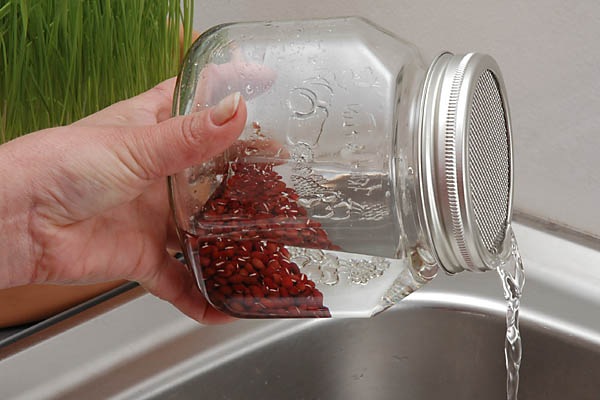 Produktbild Eschenfelder Sprossenglas
