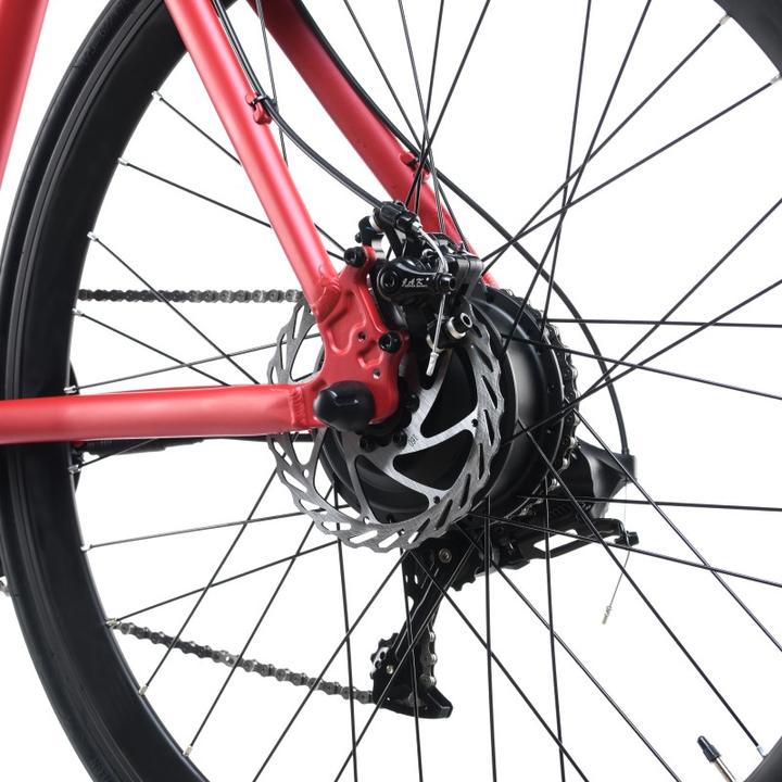 Actual product image Ebfec Skiron (52 cm)