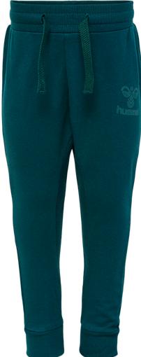 Actual product image hummel Fastwo Apple Pants (74)