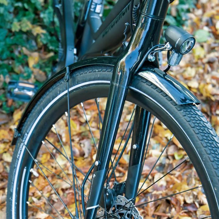 Actual product image SKS Bluemels (Mudguard set)