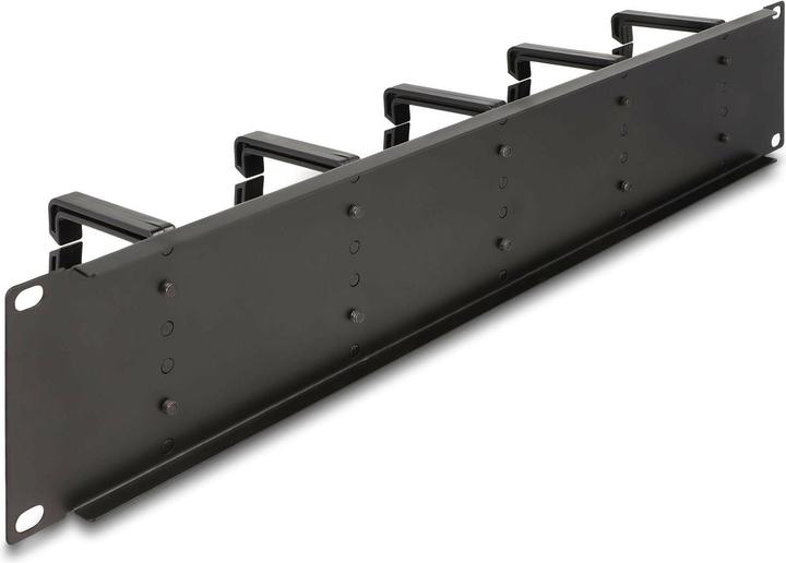 Image du produit Delock 48,30cm (19") Panneau de gestion des câbles avec 10 étriers en plastique 2 UH noir