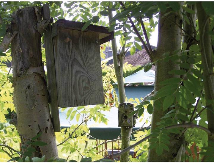 Actual product image Berger & Schröter Game camera