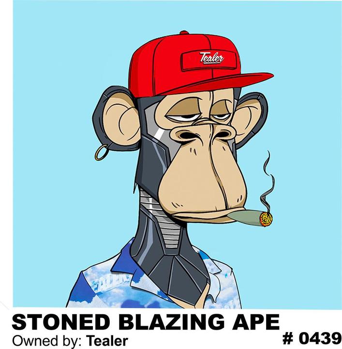 Immagine prodotto Tealer aglietta stone blazing onkey (M)