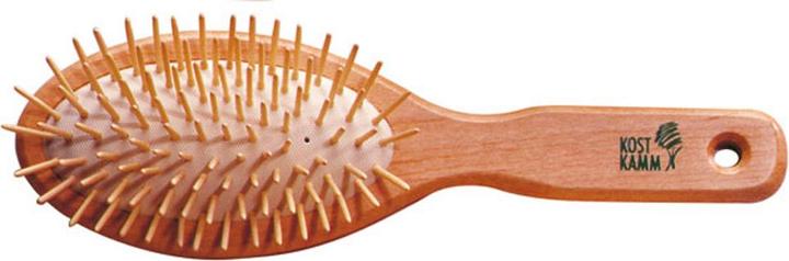 Kost Kamm Holzbürste