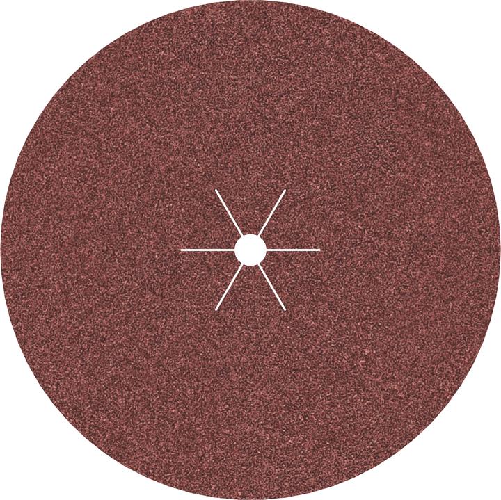 Actual product image Bosch Professional Zubehör PRO F460 sanding sheet, 125 mm, G120 (120)