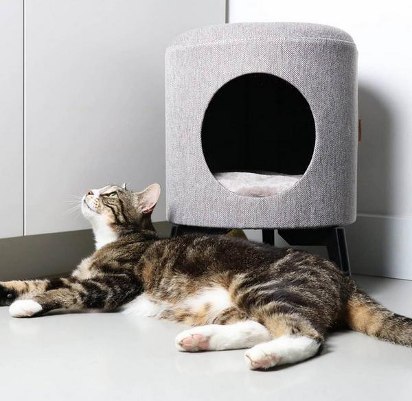 Immagine prodotto EBI D&D Home Louis (Gatto)