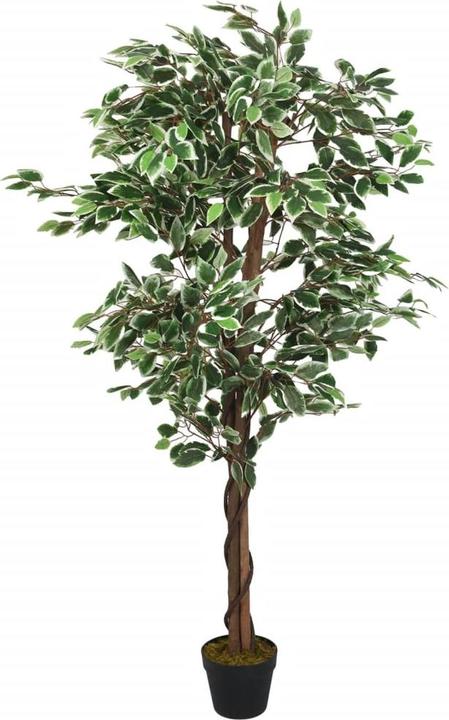 Produktbild vidaXL Giulia (80 cm)