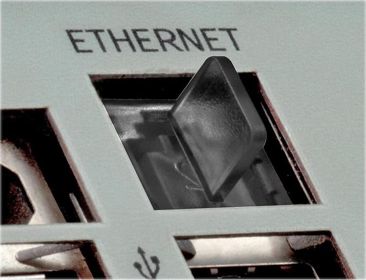 Produktbild Lindy RJ45 Dust Covers, Colour (Kabel Zubehör)