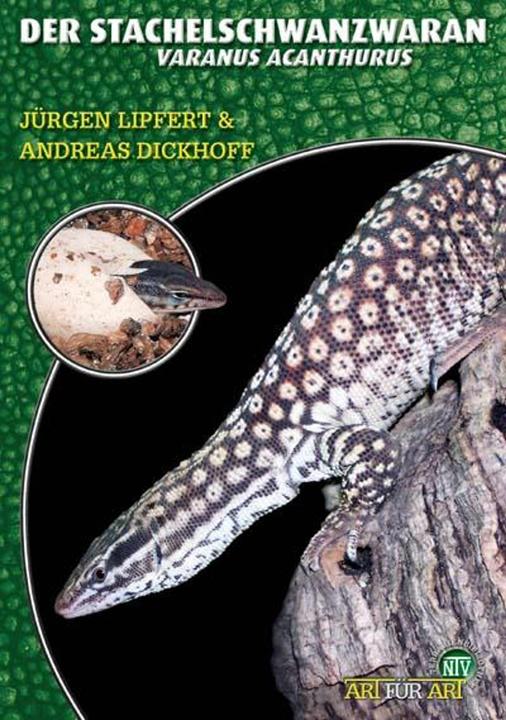 Produktbild Der Stachelschwanzwaran (Deutsch, Jürgen Lipfert, 2025)