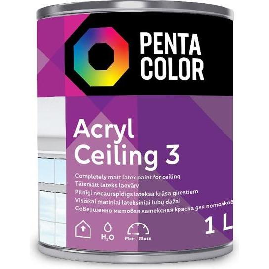 Pentacolor, Colore + Vernice per fai da te, Vernice a dispersione Acrilica 3 (1000 ml)