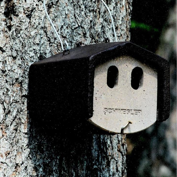 Immagine prodotto Schwegler Grotta di nidificazione