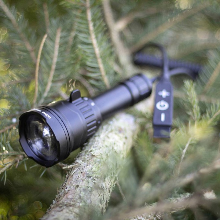 Immagine prodotto Dörr Zoom (16.80 cm, 800 lm)
