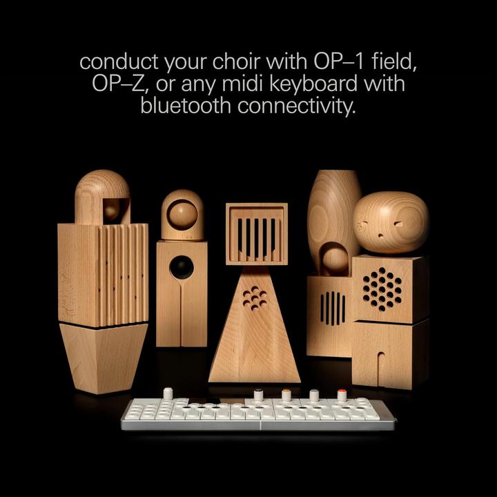 Actual product image Teenage Engineering Synthesizer Gadget CH-8 leila