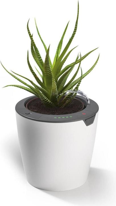 Produktbild Die Höhle der Löwen LazyLeaf