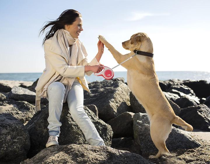 Actual product image Flexi New Comfort (M, Dog, Walks)