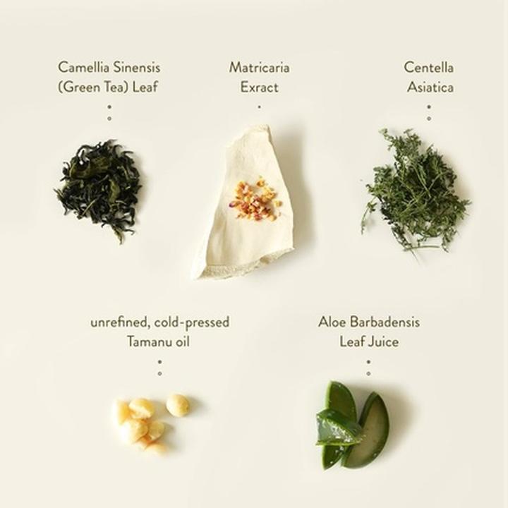 Actual product image Sioris deep in a barrier cream (50 ml, Night cream)